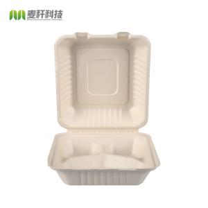 Biodegradable Food Container Eco-friendly 3-C Clamshell Box Cake Packaging Food & Beverage Packaging Disposable B036-3C 8 Inch