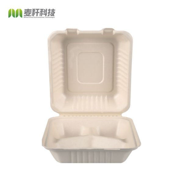 Buy 9 x 9" Sugarcane pulp biodegradable hinged large container at wholesale prices