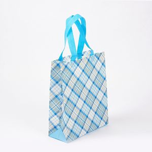 Reusable PP Non-Woven Fabric Shopping Bag Eco Packaging PP Nonwoven Shopping Bag