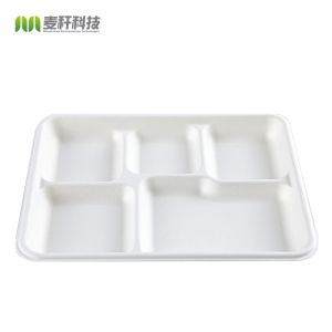Lunch Biodegradable Disposable Tray Compostable Sugarcane Bassage Serving Use