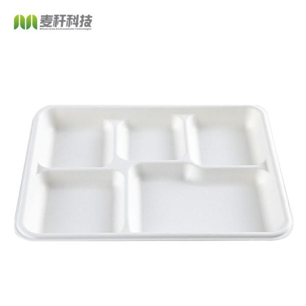 Buy Lunch Biodegradable Disposable Tray Compostable Sugarcane Bassage Serving Use at wholesale prices