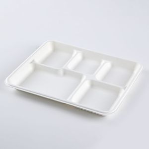 Paper 5 Compartment Disposable Plates , Sugarcane / Bagasse And Bamboo