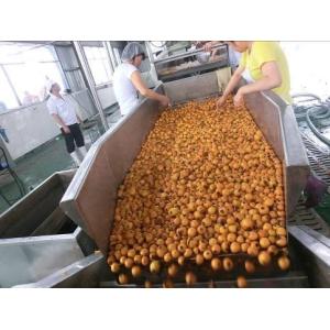 Milk Beverage Production Line Pulp Fruit And Vegetable Juicer Machine