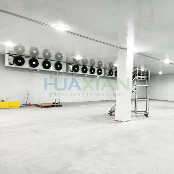 China Commercial Frozen Meat Seafood Beef Chicken Shocking Walk in Freezer Cold