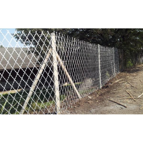 China Non Climbing Welded Wire Mesh Fence Razor Wire Mesh Fence on sale China Non Climbing Welded Wire Mesh Fence Razor Wire Mesh Fence on sale