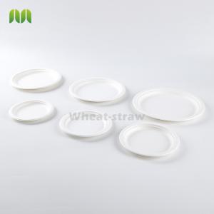 Biodegradable Compostable Paper Plates , Sugarcane Eco Friendly Disposable
