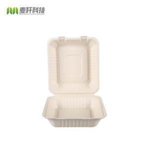 Sugarcane Bagasse Fiber Food Packaging Box 5 - 9inch Size LFGB Tested