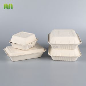 Sugarcane pulp bagasse tableware rectangular container tray for sushi pork