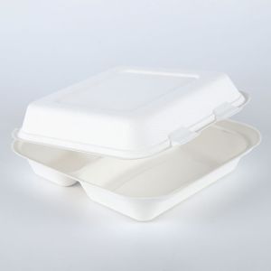 8x8 3 compartment bagasse pulp hinged delivery container box