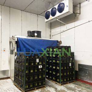 Vegetable/Fruit/Meats Walk in Cooler Type Cold Storage Room with Compressor