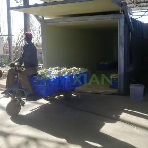 3000kgs Vegetable/Fruit Vacuum Cooler, Double Chamber Economic Farm Cooling