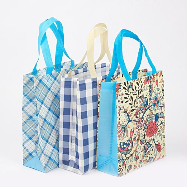 Reusable PP Non-Woven Fabric Shopping Bag Eco Packaging PP Nonwoven Shopping Bag