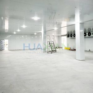 China Refrigeration Unit Industrial Walk in Blast Deep Freezer Food Storage Cold