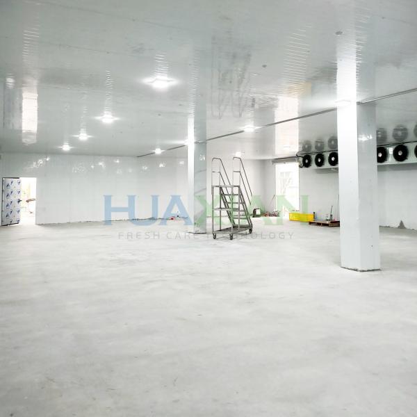 China Refrigeration Unit Industrial Walk in Blast Deep Freezer Food Storage Cold