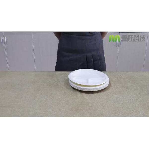 Buy Envases Bagazo Pulp paper disposable bowls and plates at wholesale prices