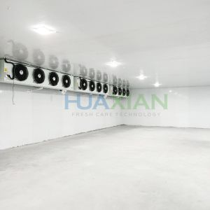 China Refrigeration Unit Industrial Walk in Blast Deep Freezer Food Storage Cold