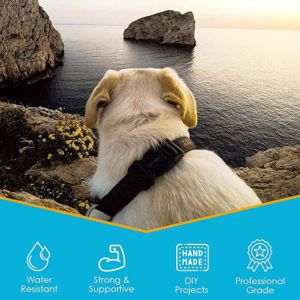 Custom Organic Canvas Webbing Polyester Cotton Webbing