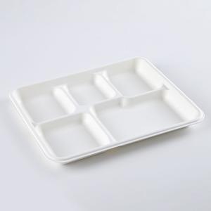 Lunch Biodegradable Disposable Tray Compostable Sugarcane Bassage Serving Use