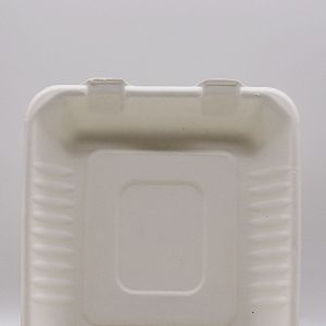 Biodegradable Food Container Eco-friendly 3-C Clamshell Box Cake Packaging Food