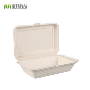 Food Packing Takeaway bagasse Pulp large dinner container box