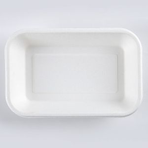 Sugarcane Bagasse Takeaway Food Biodegradable Disposable Tray With Lid
