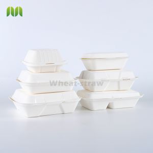 Biodegradable Compostable Paper Plates , Sugarcane Eco Friendly Disposable