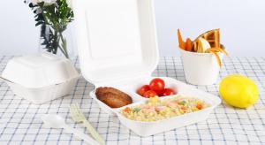 Quality 8 inches disposable Sugarcane Bagasse fiber paper clamshell food packaging box for sale