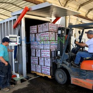 4 Pallet Fresh Fruit Vegetable Vacuum Cooler System Suppliers