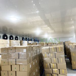 Quality Industrial Cool Rooms and Blast Freezer Container Walk in Refrigeration Unit Cold Storage Room for sale