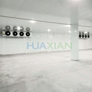 China Industrial Meat Walk In Freezer Modular Cold Storage Room High Quality