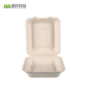 Takeaway box biodegradable disposable food container 600ML lunch box