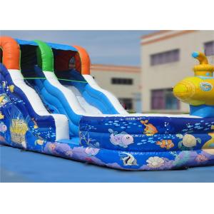 Climbing Crawling Commercial Inflatable Slide Lovely 7x3.5x5m Eye Catcher