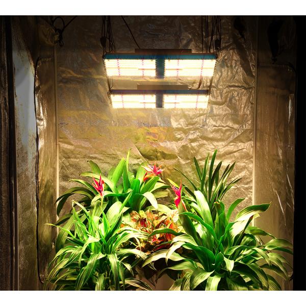 IR UV LM301H LED Grow Light AC85V Samsung Lm301h 480W 1248umol/s