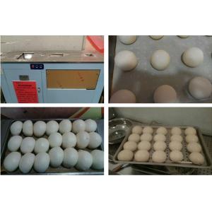steamed bun making machine ,Steamed Bread Molding Machine