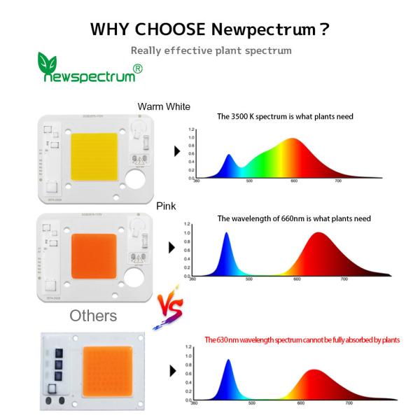 Cold White Led Cob 50w Reliable Consistent Flip Chip Cob Led