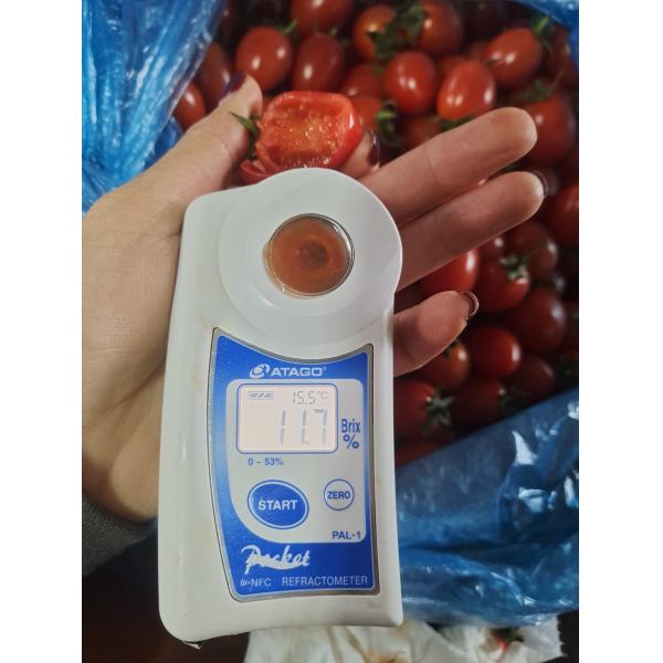 Natural Organic Cod Fish Protein Powder Hydrolysate Enzymatic Fertilizer 15-1-1