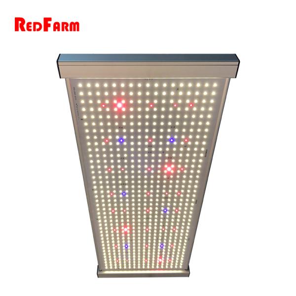 Buy Dimmable 480W Quantum Full Spectrum LED Grow Board Samsung Diodes at wholesale prices