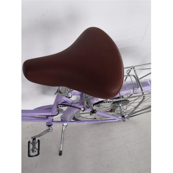 1.8m Length Steel Frame 700C Women Single Speed City Bike for American Market OEM/ODM