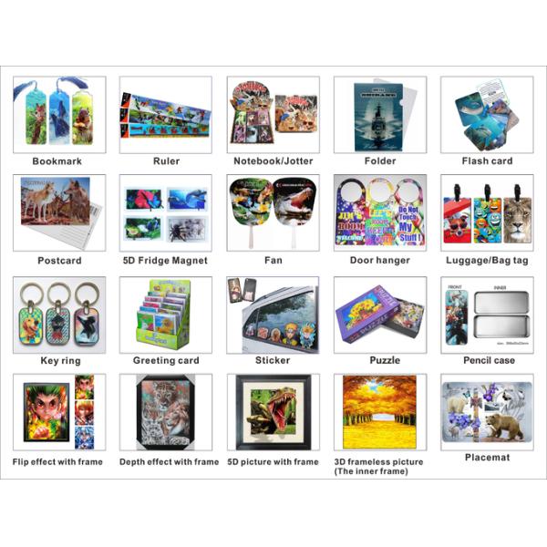 3D Magnets Sealifes Dolphin Shark Turtle Lenticular Printing Card For Gifts 0