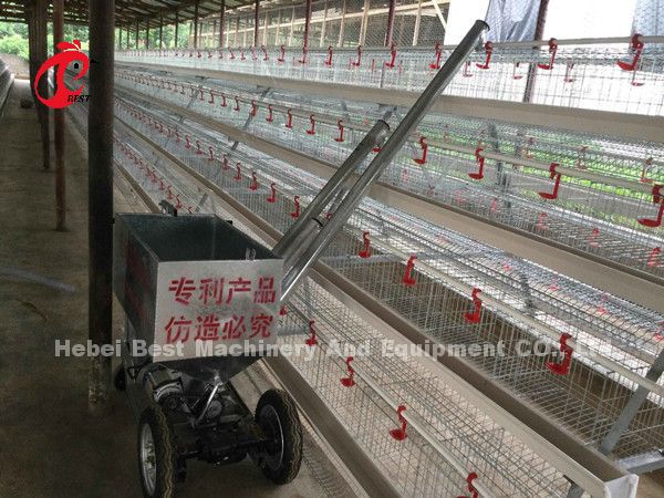 Most Economical Chicken Layer Battery Cage Poultry Farming For 5000/10000/20000 Birds Star