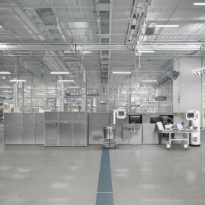 PLC Gas Heating Egg Roll Production Line 1200/Hour Production