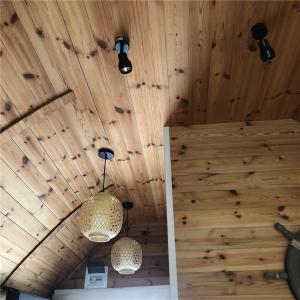 Heatproof Liposuction Modern Tiny Prefab Modular Homes