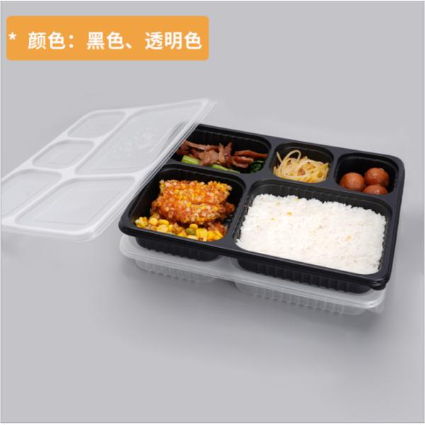 Disposable Thickened Plastic Takeaway Bento Box Container