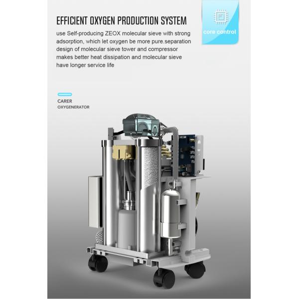 5 Lpm Portable Oxygen Concentrator With Adjustment Button