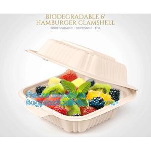 Catering Eco-Friendly Container Compartment Starch lunch Meal Box, Disposable