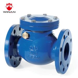 Index Flange ANSI DN15 300PSI 1.0MPa Swing Check Valve