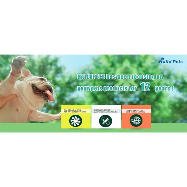 TPE ABS Carabiner Dog Water Bowl Dog Feeder Foldable For Pets