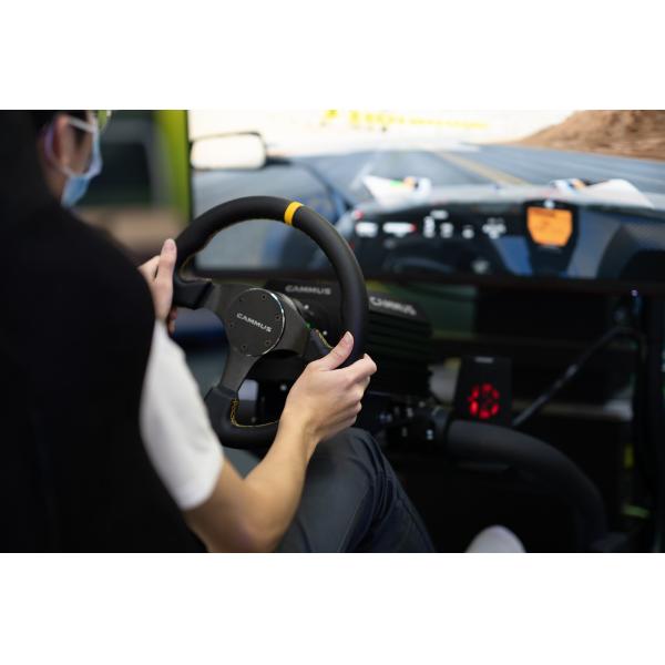 Support OEM 3 Pedals PC Game Driving Simulator