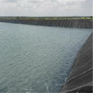 100% Virgin HDPE Geomembrane Liners for Waterproof Projects 0.2 2mm Thickness