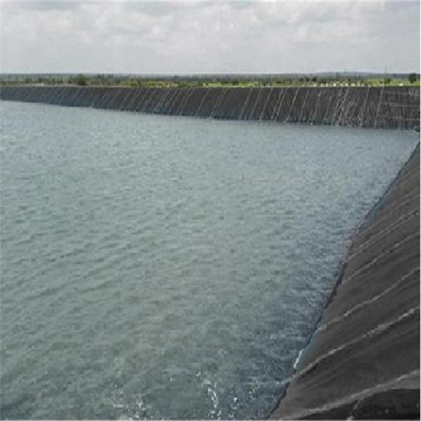 100% Virgin HDPE Geomembrane Liners for Waterproof Projects 0.2 2mm Thickness